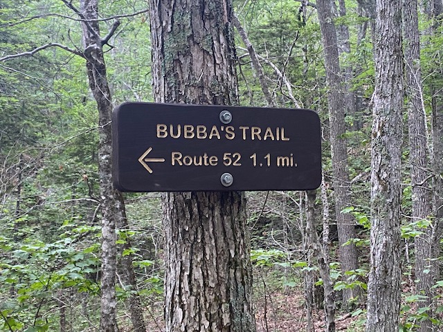 The ripple effects of a chilling&nbsp;murder.